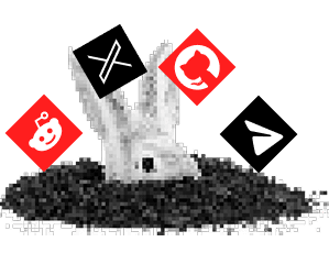 rabbit-second